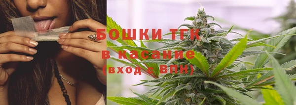 трава Медвежьегорск