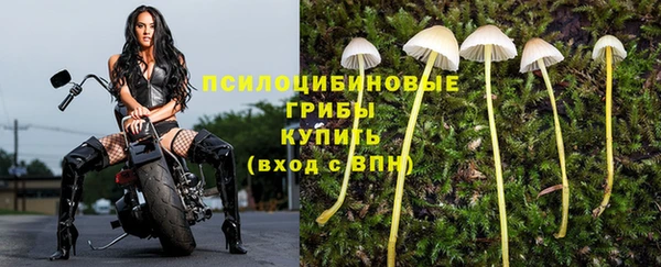 мефедрон мука Медногорск