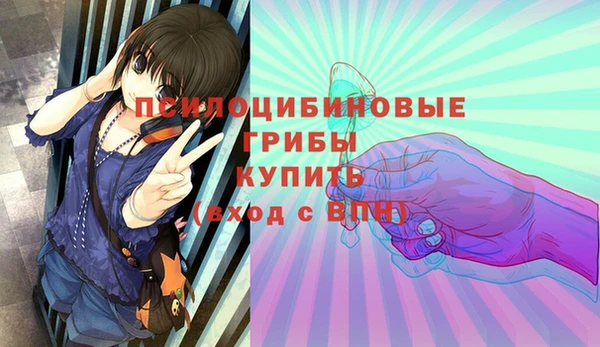спиды Мегион