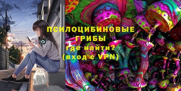 трава Медвежьегорск