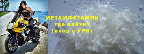 трава Медвежьегорск