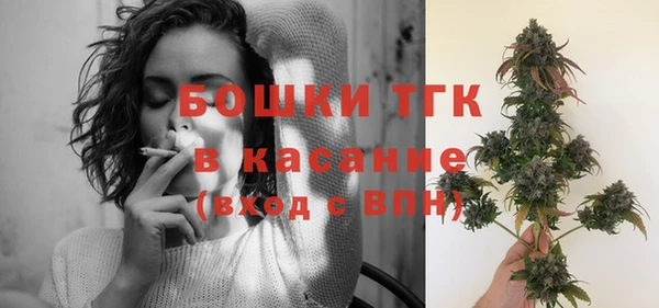 трава Медвежьегорск
