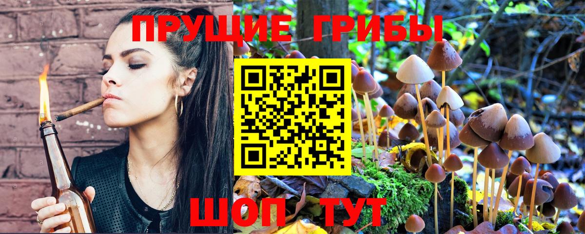 Галлюциногенные грибы MAGIC MUSHROOMS  Вход с VPN  Юрга 