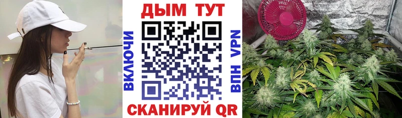 купить закладку  Юрга  Конопля марихуана 